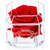 Eternal Petals A Real Rose That Lasts A Year - White Gold Solo (Red)