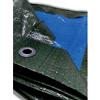 LIF Telo Occhiellato PE Verde Blu 3 x 5M 90 Gr 4F