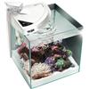 Newa More NMO30RW Bianco Nano Reef Acquario Marino 28L Cubo LED Touch Filtro