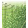 STARS Rete Elettrosaldata Zincata Dopo maglia 12 X 12 Stars 25 mt cm 100 h Mm 0,95