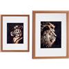 Gift Decor Quadro Tigre Leone Cristallo Bronce Vetro Truciolare [33 x 3 x 43 cm] [33 x 3