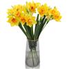 Hananona 10 narcisi artificiali, fiori primaverili in finta seta, per interni ed