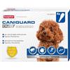 BEAPHAR CaniGuard Duo Antiparassitario per cani contro Pulci zecche e Zanzare