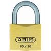 Abus 04800 Lucchetto in ottone con arco in acciaio INOX, con chiave unica 226