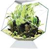 ASKOLL Ciano Nexus C5 Betta Life Acquario A Diamante Per Pesci Betta