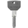 Cisa CHIAVE GREZZA PER CILINDRO ASIX P8 PRO 5.00 pz