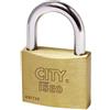 ISEO SERRATURE Iseo LUCCHETTO DI SICUREZZA CITY Arco standard mm. 50 10.00 pz