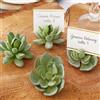 C.X.Y. 20pz segnaposto forma piantine grasse ideali matrimonio country-chic bomboniera