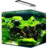 Does not apply NANOTANK SYSTEM 20 - Acquario in Vetro Completo Di Luce LED E Filtro / Cm 25X25X
