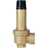 WATTS VALVOLA DI SICUREZZA A MEMBRANA VST FF- 3/4 x 1 4,5 Bar- WATTS- pezzi 1