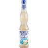 Fabbri Sciroppo Fiori Di Sambuco Zero 560 ml Per Bibite Ghiaccioli Gelati