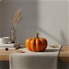 Zucca Bianca in Ceramica Regalo di Halloween Zucca Decorativa in Ceramica