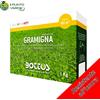 Bottos GRAMIGNA 1 Kg seme prato ornamentale varietà CYNODON DACTYLON