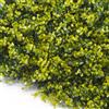 TENAX Siepe Sintetica a Pannelli per Parete Giardino Verticale, Tipo Bosso Verde