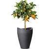 Scheurich - Wave Globe High, Vaso Effetto Granito, Colore: Grigio Scuro (Schwarz