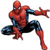 Decojet Digital Photo Cialda in Ostia Spiderman per Decorazione Torte