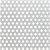 Alberts 464257 Lamiera forata, foratura rotonda, alluminio, naturale, 300 x 1000