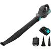 Cecotec Soffiatore a Batteria - Aspiratore Elettrico Ultralight Airforce 2500 Ag