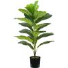 King Collection PIANTA FICUS LYRATA H. 75 cm 21 FOGLIE