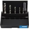 KRINO 19020213 Set 7 Pezzi Punta-Maschio HSS con Attacco Esagonale 1/4 per Accia