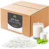 Waxcanpy Cera di Soia per Candele 20kg, Cera Naturale Vegetale Fai da Te con Punto di Fus