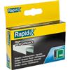 Rapid 140/10 10Mm Chiodi Galvanizzati (Scatola 2000) RPD14010