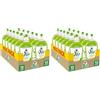 CHANTECLAIR VERT Vert di Chanteclair - Ecodetergente Piatti, Limone e Basilico - Ipoallergenico, Metal tested,100% Attivi di Origine Vegetale, Formula Sgrassante - 12 Flaconi da 500 ml (Confezione da 2)