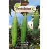 SeedsSelect Semi Zucca Luffa Cylindrica Zucchina Rampicante Spugna Vegetale