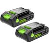 Greenworks TwinPack 24V 2Ah Batteria Ricaricabile ad Alta Potenza USB-C Batteria Li-Ion Compatibile con Tutti gli oltre 200 Dispositivi Greenworks 24V, 2 anni di garanzia - K2D4NNA