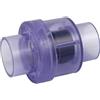 Waterway 600-8140 Valvola Di Ritegno Per Soffiante 1.5" 0.25LB