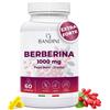 Bandini® Berberina 1000mg pura alto dosaggio | Pura Berberina HCl da Berberis...