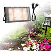 LED Grow Light Lampade a spettro completo per piante idroponiche (UE)