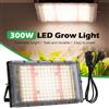 LED Grow Light Lampade a spettro completo per piante idroponiche (UE)