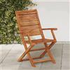 vidaXL Sedie pieghevoli con braccioli, 2 pezzi, in legno massello di acacia vidaXL