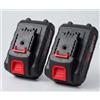 2x batteria da 48V PER FORBICE POTATURA BATTERIE DI RICAMBIO LUNGA DURATA