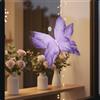Farfalla di Carta Gigante Realistica Farfalla 3D Decorativa per Vetrina