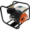 Bricoferr BF034B - Pompa dell'acqua (motore a 4 tempi 2 , 5,5 cv)