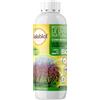 SOLABIOL Olio Bianco Vegetale di SOIA Concentrato. Potenziatore dell pHbL