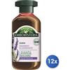 Antica erboristeria 12x Bundle Antica Erboristeria Shampoo 250 Ml. Normali Lavanda