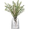 LSA International LSA PT01 Pleat, Vaso alto 20 cm, Trasparente