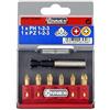 Connex Kit Inserti Magnetici in Acciaio Diamantato Extra Resistente, Pozidriv PZ1-2-3 e Phillips PH1-2-3, Supporto Magnetico Universale, Confezione da 7 pezzi