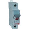 BTicino Spa Bticino f71n/16n btdin sezionatore 1p 16a 1 modulo din