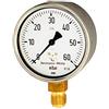 RIEGLER 102524-6842 - Manometro a molla in acciaio CrNi, G 1/2 inferiore, 0-100 mbar, Ø 100, 1 pz