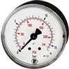RIEGLER 101679-208-KD Standard mano, plastica, G 1/4 posteriore, 0-25,0 bar/360 psi, Ø 50, 1 pz