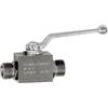 RIEGLER 103504-392.07 - Valvola a sfera ad alta pressione, serie leggera, in acciaio, M30 x 2, 1 pz