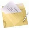 samstar Sam - Scatola 250 sacchetti carta bianco 100 gr striscia silicone 229 x 324 cm C4