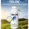 CHIMIBERG TIOLENE PFnPE FUNGICIDA BIOLOGICO ZOLFO LIQUIDO ANTI OIDIO CHIMIBERG
