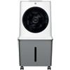 DCG VERI85 Raffrescatore evaporativo