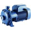 PEDROLLO Pompa Elettrica Centrifuga Bigirante in Ghisa HP 1,5 kW 230 V Pedrollo