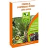 ueber FEROMONE PUNTERUOLO ROSSO PALMA RHYNCHOPHORUS FERRUGINEUS PRESTO BIO